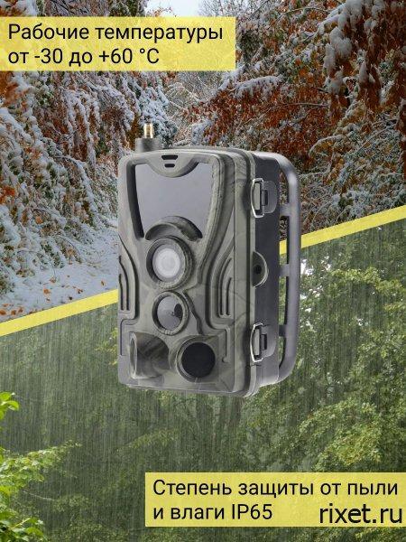 Фотоловушка RIXET 300 Фотоловушка RIXET 300