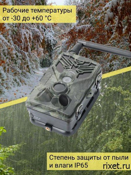 Фотоловушка RIXET 800 Фотоловушка RIXET 800