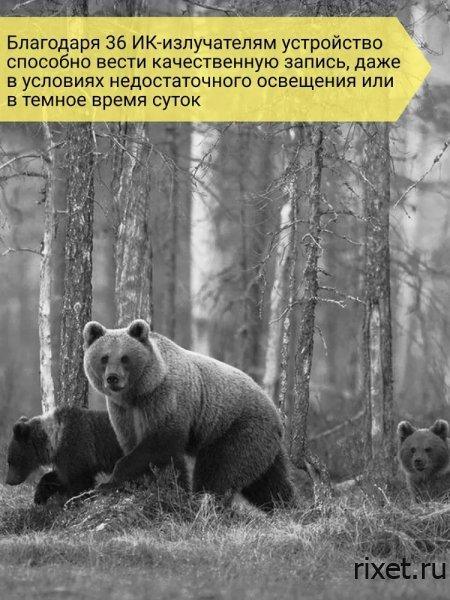 Фотоловушка RIXET 800 Фотоловушка RIXET 800